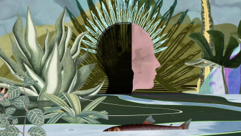 Animation – Visualisers de Toh Imago